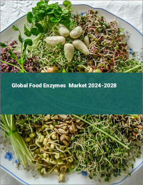 表紙：食品酵素の世界市場 2024-2028
