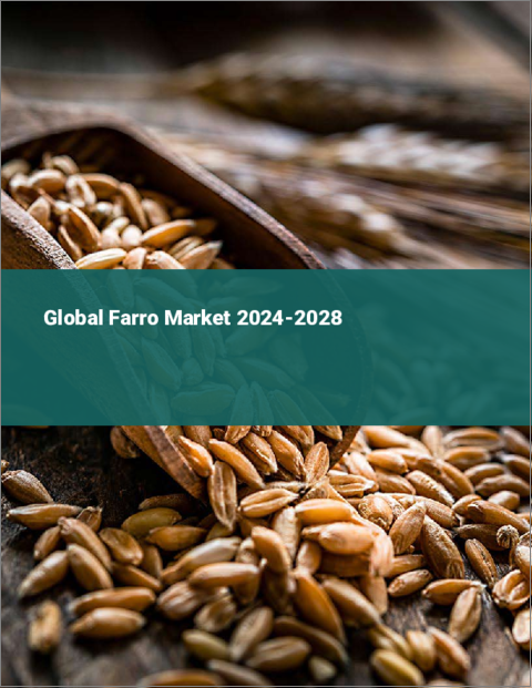 表紙：ファッロの世界市場 2024-2028