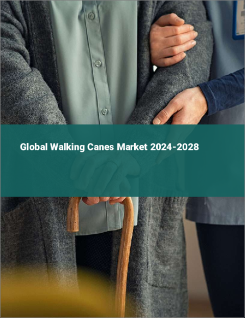 表紙：歩行杖の世界市場 2024-2028