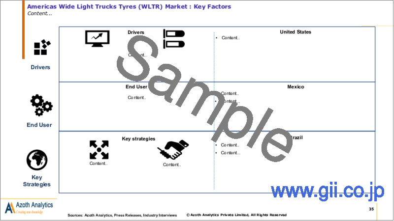 サンプル2：軽トラック用ワイドタイヤ（WLTR）の世界市場（2024年版）：タイプ別、クラス別、販売チャネル別、サイズ別の分析