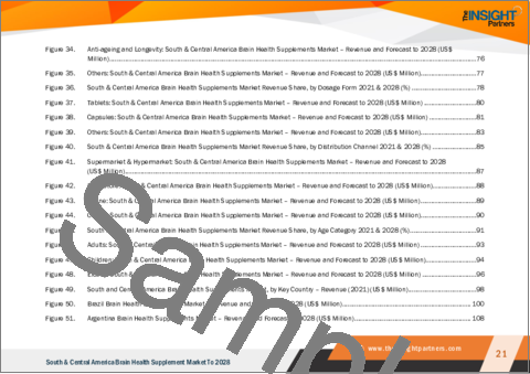 サンプル1：ブレインヘルスサプリメントの中南米市場：地域別分析 - 製品別、用途別、剤形別、流通チャネル別、年齢カテゴリー別、予測（～2028年）