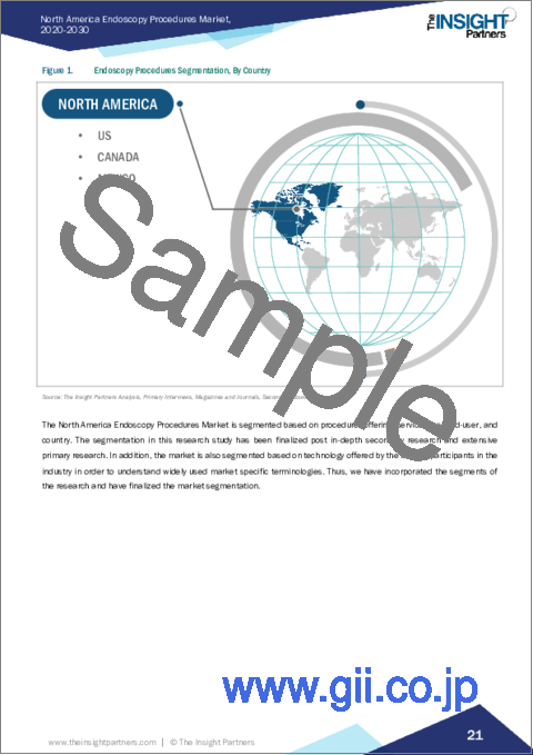 サンプル1：北米の内視鏡検査手技市場、2030年までの予測 - 地域別分析：手技別、提供別、製品タイプ別、エンドユーザー別