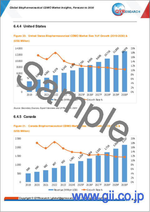 サンプル2：バイオ医薬品CDMOの世界市場：考察と予測 (～2030年)
