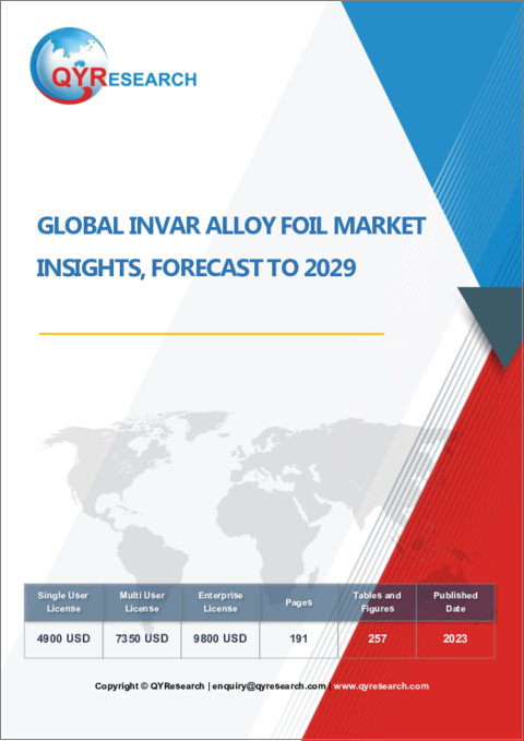 表紙：インバー合金箔の世界市場：考察と予測 (～2029年)