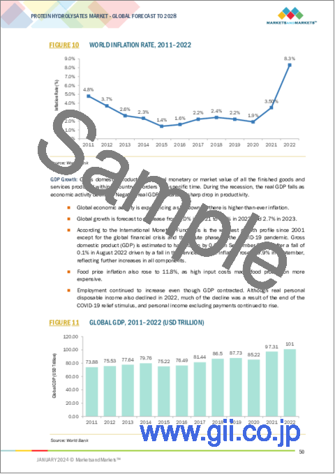 サンプル1：タンパク質加水分解物の世界市場 (～2028年)：製品タイプ (乳・肉・海洋・植物・卵・酵母)・用途 (乳児・スポーツ・臨床栄養・体重管理・栄養補助食品・動物飼料・食品飲料)・原料・プロセス・形態・地域別