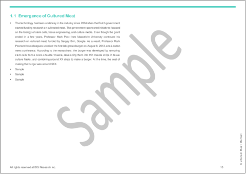 サンプル1：培養肉市場：世界および地域の分析 (2024-2033年)