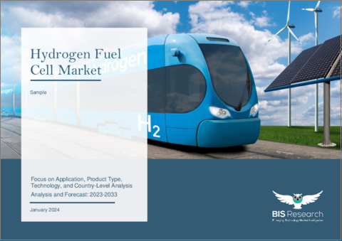 表紙：水素燃料電池市場：用途・製品タイプ・技術・国別の分析・予測 (2023～2033年)