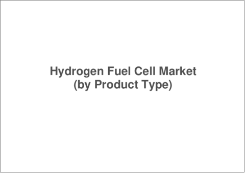 サンプル2：水素燃料電池市場：用途・製品タイプ・技術・国別の分析・予測 (2023～2033年)