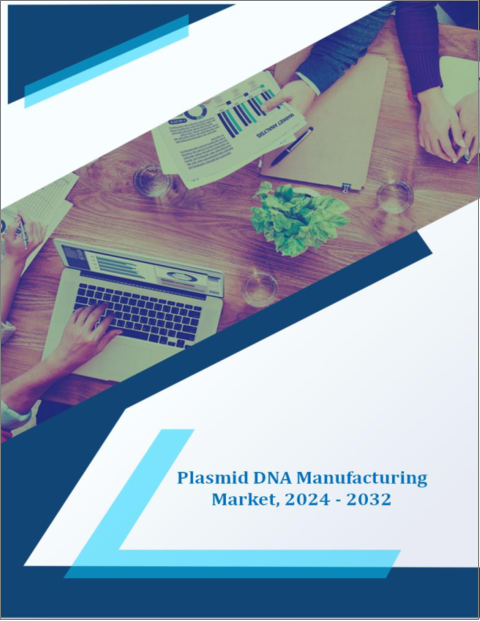 表紙：プラスミドDNA製造市場：成長、将来展望、競合分析、2023年～2031年