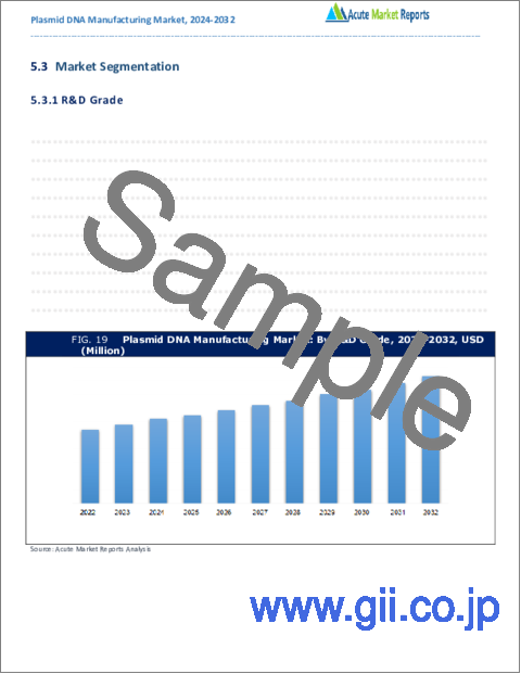 サンプル2：プラスミドDNA製造市場：成長、将来展望、競合分析、2023年～2031年
