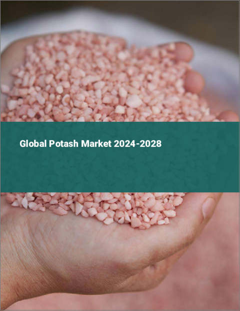 表紙：カリの世界市場 2024-2028