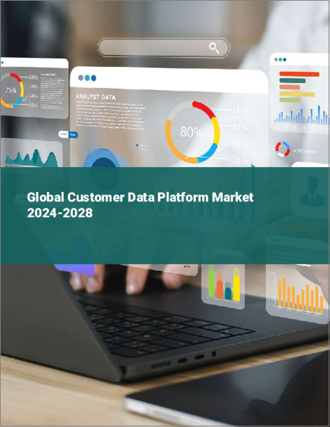 表紙：顧客データ・プラットフォームの世界市場 2024-2028