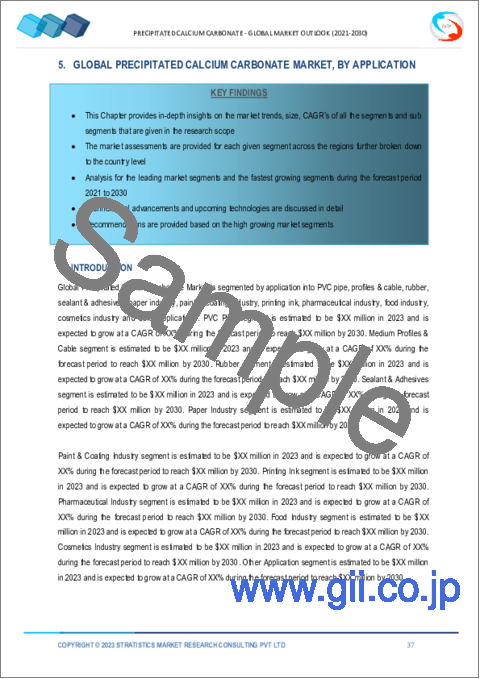 サンプル2：沈降炭酸カルシウム市場の2030年までの予測：用途別、地域別の世界分析