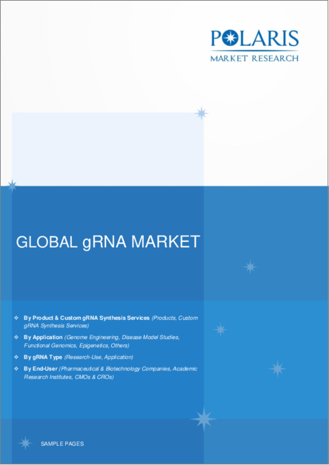 表紙：gRNA市場、シェア、規模、動向、産業分析レポート：製品・サービス別、gRNAタイプ別、用途別、最終用途別、地域別、セグメント別予測、2024年～2032年