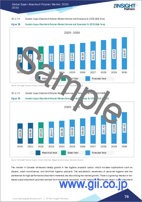 サンプル2：高吸水性ポリマーの市場規模・予測、世界・地域別シェア、動向、成長機会分析レポート対象範囲：タイプ別、カテゴリー別、用途別