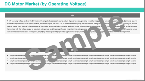 サンプル2：直流（DC）モーター市場：世界および地域別分析（2023年～2033年）