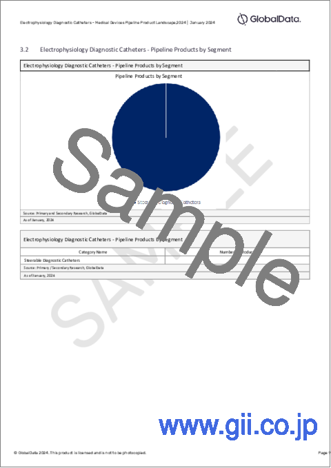 サンプル2：電気生理診断用カテーテルのパイプライン - 開発段階、セグメント、地域と国、規制経路、主要企業（2024年版）