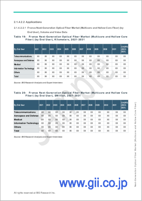 サンプル2：欧州の次世代光ファイバー市場の分析・予測 (2022-2031年)：マルチコアファイバーおよび中空コアファイバー