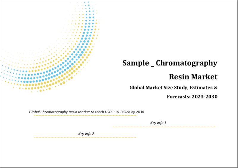表紙：クロマトグラフィー用樹脂の世界市場規模調査＆予測、タイプ別、技法別、最終用途別、地域別分析 2023-2030年