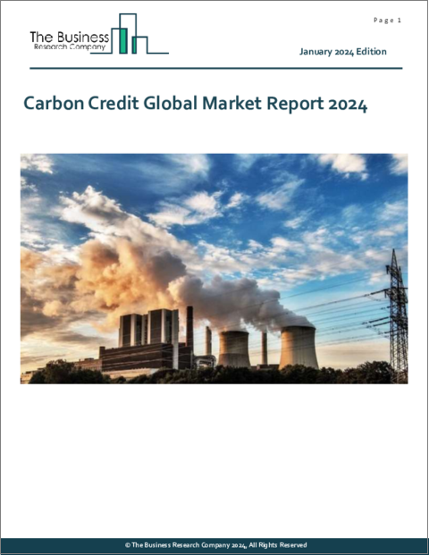 表紙：カーボンクレジットの世界市場レポート 2024年
