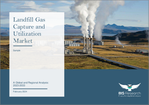 表紙：埋立地ガス回収・利用市場：世界および地域別分析 - 分析と予測（2023年～2033年）