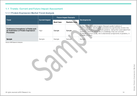 サンプル1：タンパク質発現市場- 世界および地域別分析：用途別、エンドユーザー別、製品別、発現システム別、、地域別 - 分析と予測（2023年～2033年）