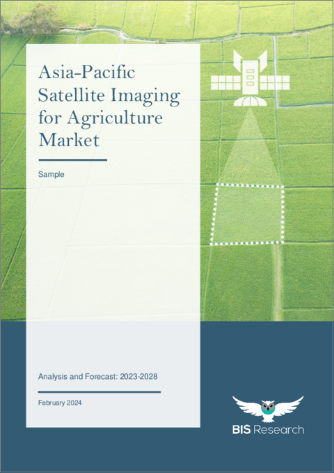 表紙：アジア太平洋の農業用衛星画像市場の分析・予測 (2023-2028年)