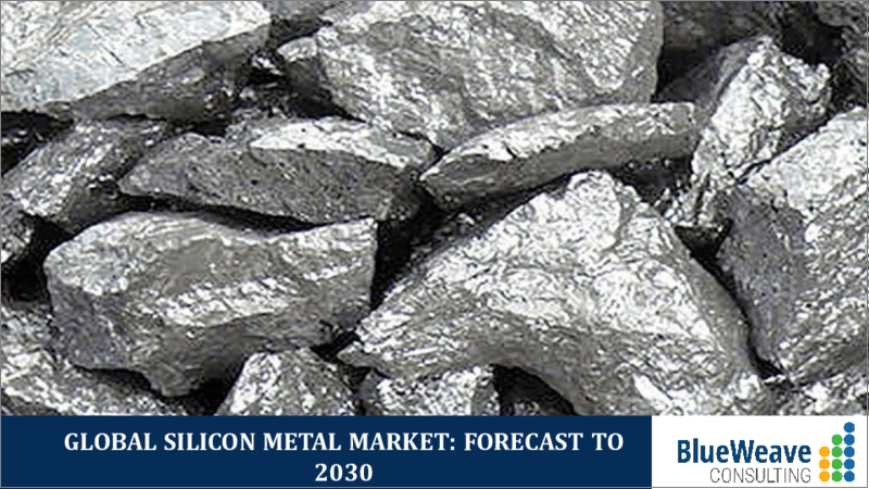 表紙：金属ケイ素市場：世界の市場規模、シェア、動向分析、機会、予測レポート 2019-2030年