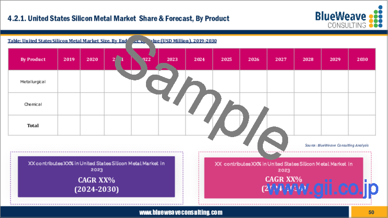 サンプル2：金属ケイ素市場：世界の市場規模、シェア、動向分析、機会、予測レポート 2019-2030年