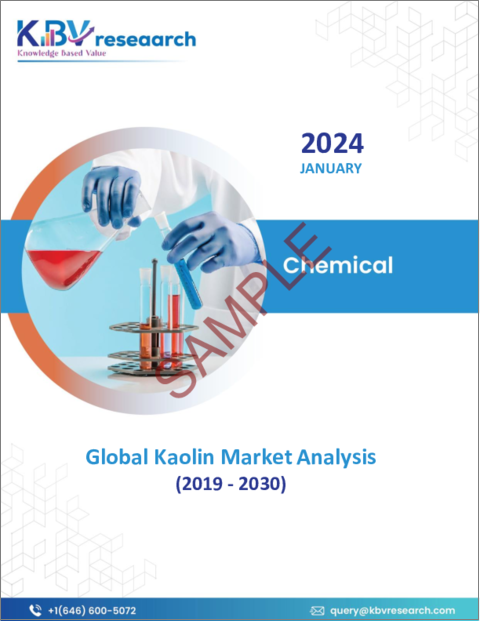 表紙：カオリンの世界市場規模、シェア、動向分析レポート：用途別、プロセス別、地域別展望と予測、2023年～2030年