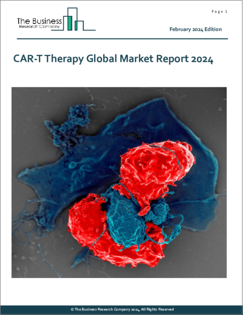 表紙：CAR-T療法の世界市場レポート 2024年
