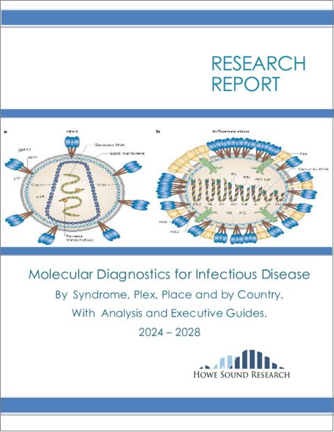 表紙：感染症の分子診断法の世界市場：症候群別、プレックス別、場所別、国別分析 - エグゼクティブコンサルタントガイド付き（2024年～2028年）