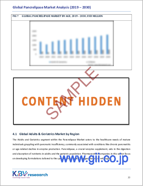 サンプル2：パンクレリパーゼの世界市場規模・シェア・動向分析レポート：年齢別、流通経路別、用途別、地域別展望・予測、2023年～2030年