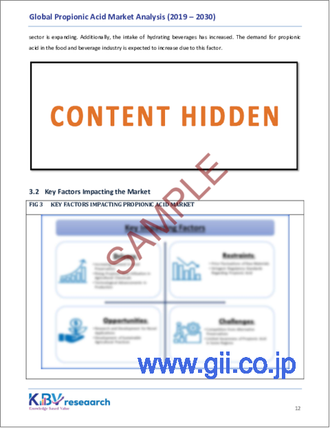 サンプル1：プロピオン酸の世界市場規模、シェア、動向分析レポート：用途別、エンドユーザー別、地域別展望と予測、2023年～2030年