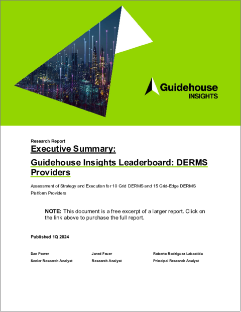 表紙：Guidehouse Insights Leaderboard Report - DERMSプロバイダー：グリッドDERMSプロバイダー10社とグリッドエッジDERMSプラットフォームプロバイダー15社の戦略と実行の評価