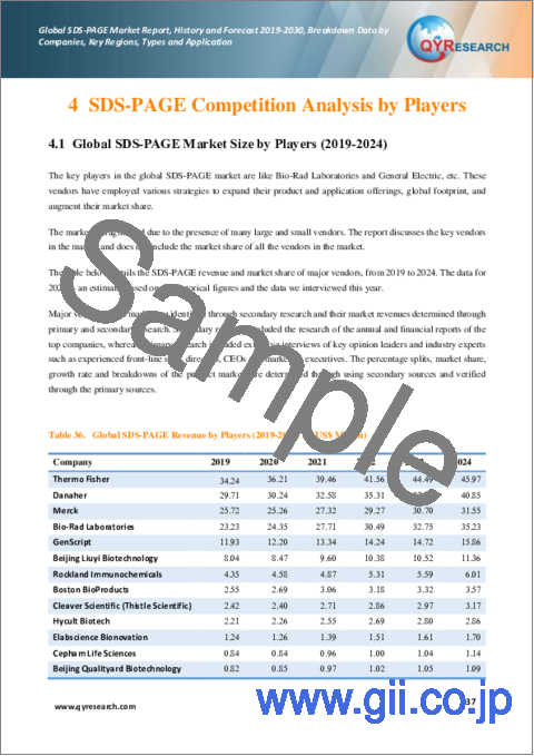 サンプル2：SDS-PAGEの世界市場：実績・予測 (2019年～2030年)