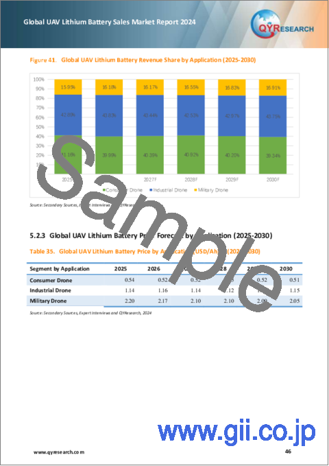 サンプル2：UAVリチウム電池の世界市場：2024年