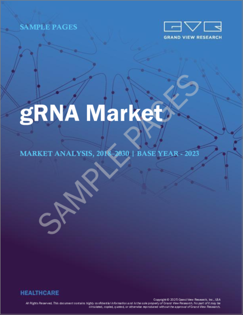 表紙：gRNA市場規模、シェア、動向分析レポート：製品・サービス別、gRNAタイプ別、用途別、最終用途別、地域別、セグメント予測、2024年～2030年