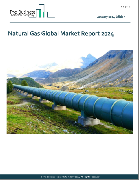 表紙：天然ガスの世界市場レポート 2024年