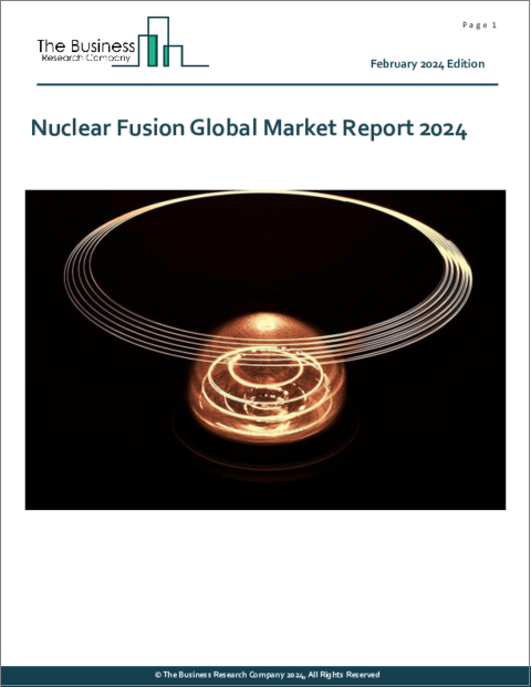 表紙：核融合の世界市場レポート 2024年