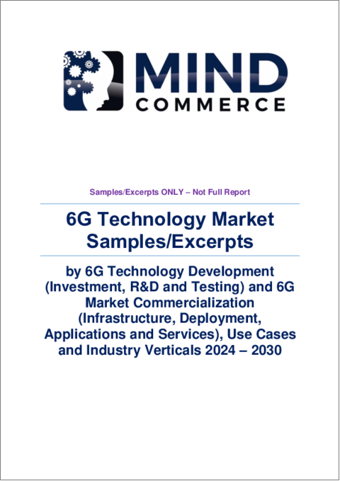 表紙：6Gワイヤレス市場：6G技術開発 (投資・R&D・試験)・6G市場商業化 (インフラ・展開・アプリケーション&サービス)・使用事例・産業 (2024～2030年)