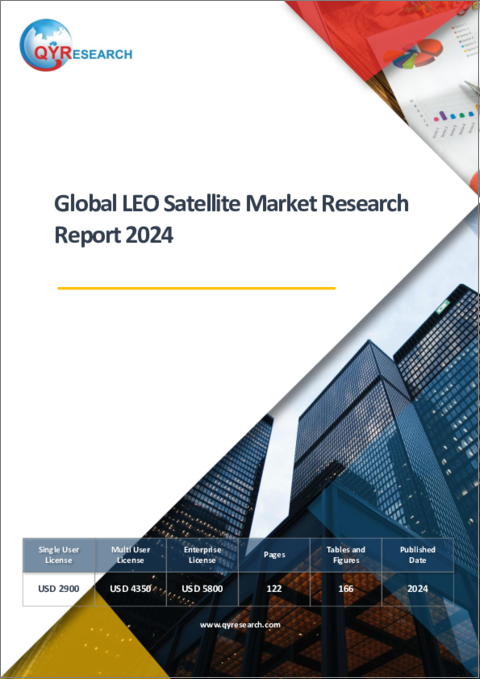 表紙：LEO衛星の世界市場：2024年