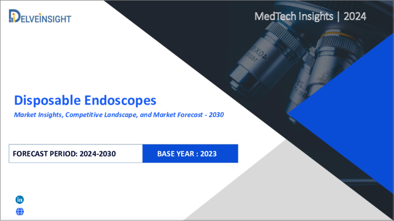 表紙：ディスポーザブル内視鏡の世界市場：洞察、競合情勢、市場予測：2030年
