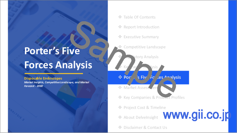 サンプル1：ディスポーザブル内視鏡の世界市場：洞察、競合情勢、市場予測：2030年