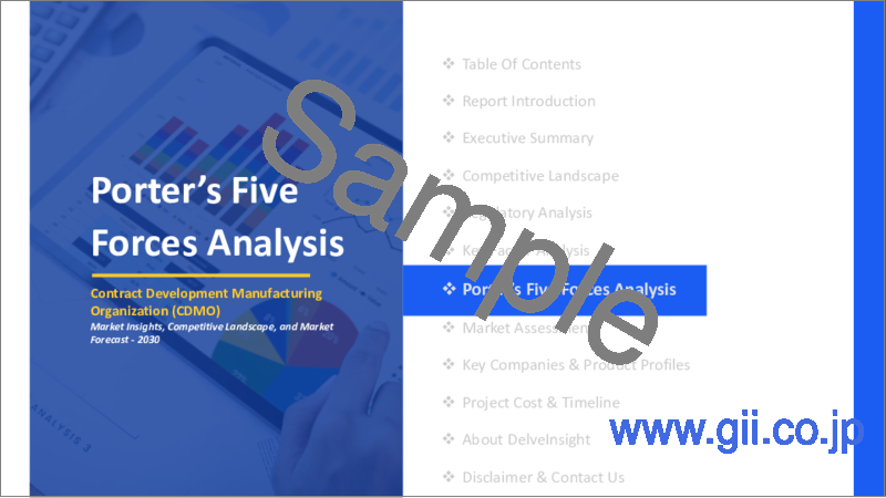 サンプル1：CDMO - 世界市場の考察、競合情勢、市場予測（2030年）