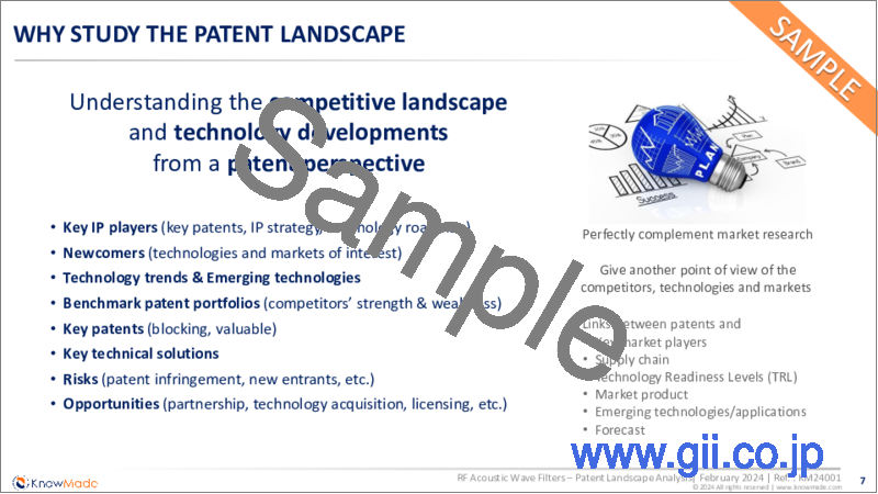 サンプル1：RF弾性波フィルター：特許情勢の分析 (2024年)