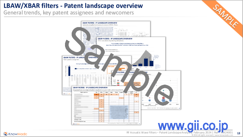 サンプル2：RF弾性波フィルター：特許情勢の分析 (2024年)