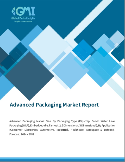 表紙：先進パッケージングの世界市場：パッケージングタイプ別、用途別、予測（2024～2032年）