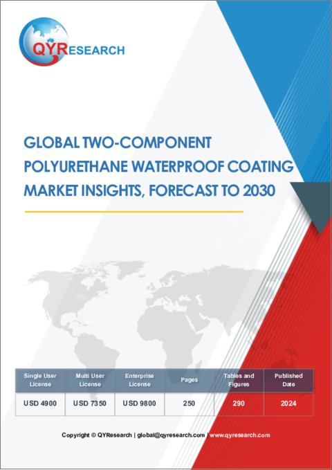 表紙：2液型ポリウレタン防水塗料の世界市場：洞察・予測 (～2030年)
