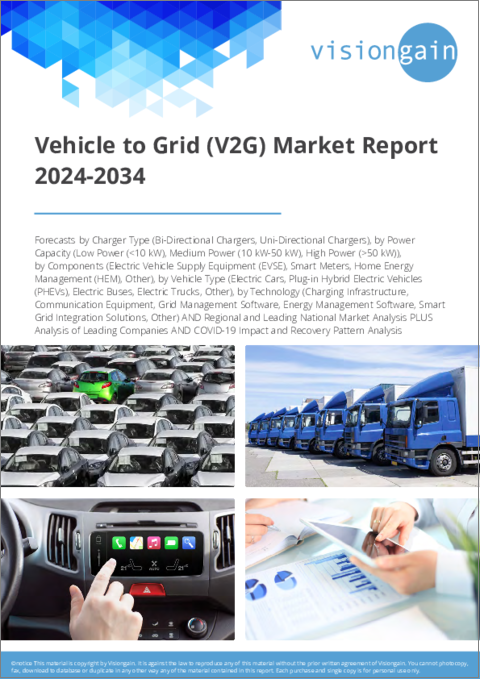 表紙：V2G (Vehicle to Grid) 市場：2024-2034年